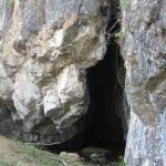 пещеры &#171;Серебряная&#187; и &#171;Дракон&#187;, Путешественник