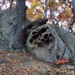 Загадочные и причудливые каменные глыбы Долины Атлантов, Путешественник