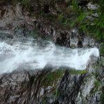 Слалом по таёжной реке Кема и Амгинский водопад (16-21 июля 2018), Путешественник